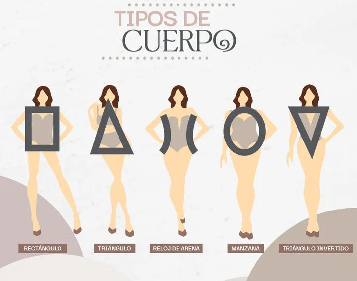 TIPOS DE CUERPO