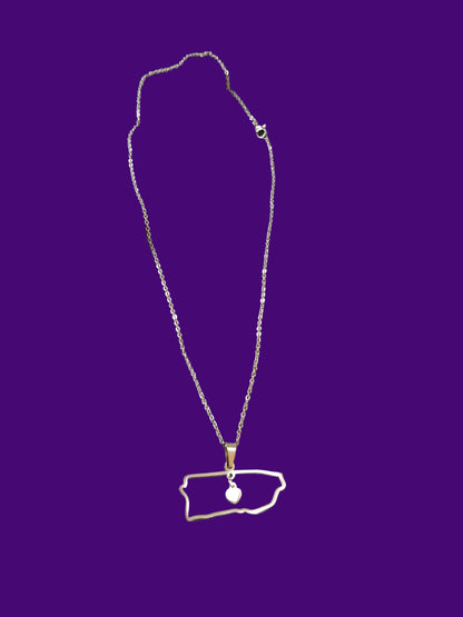 EJ Stainless Steel  PR Necklace