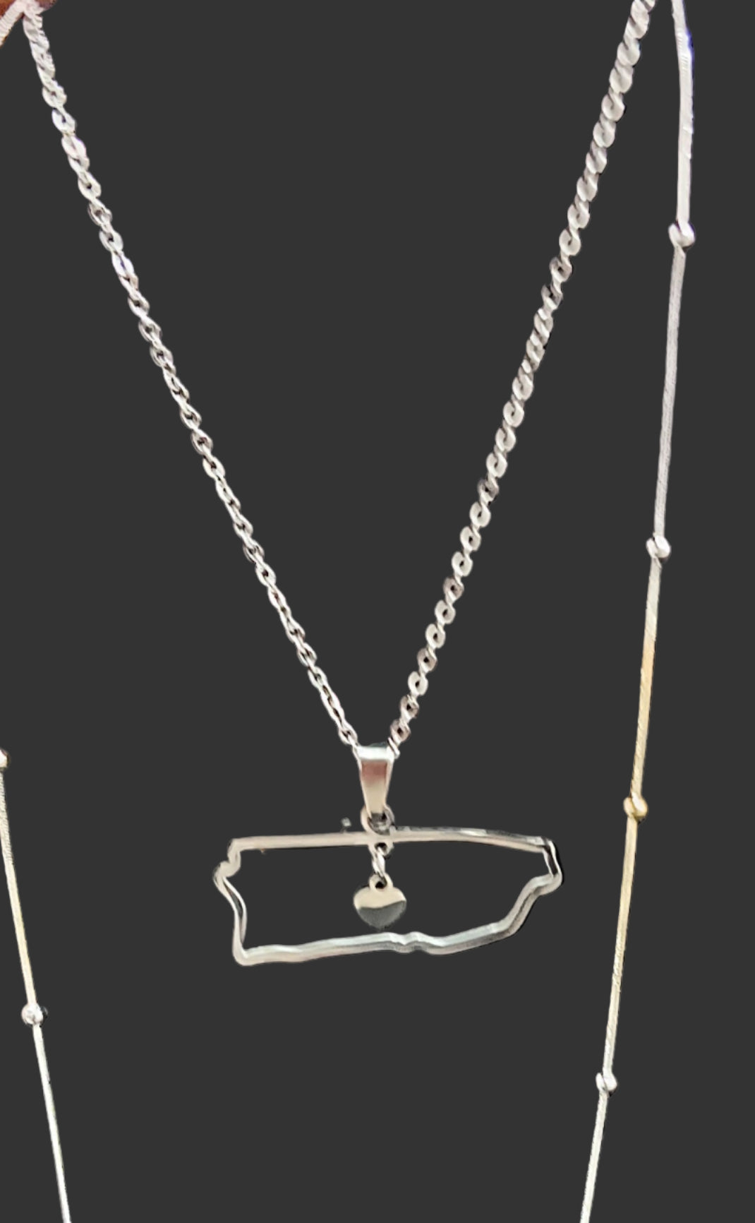 EJ Stainless Steel  PR Necklace