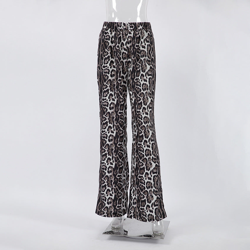 Women's Daily Streetwear Leopard Full Length Casual Pants