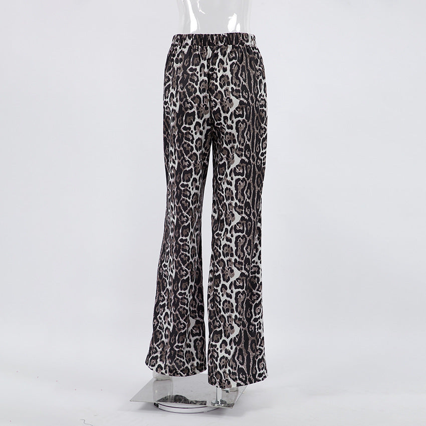 Women's Daily Streetwear Leopard Full Length Casual Pants