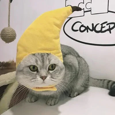 Funny Hat for Cat / Dogs  Costume Pet Headwear Cosplay Keep Warm Theme Party Photo Prop Accessories