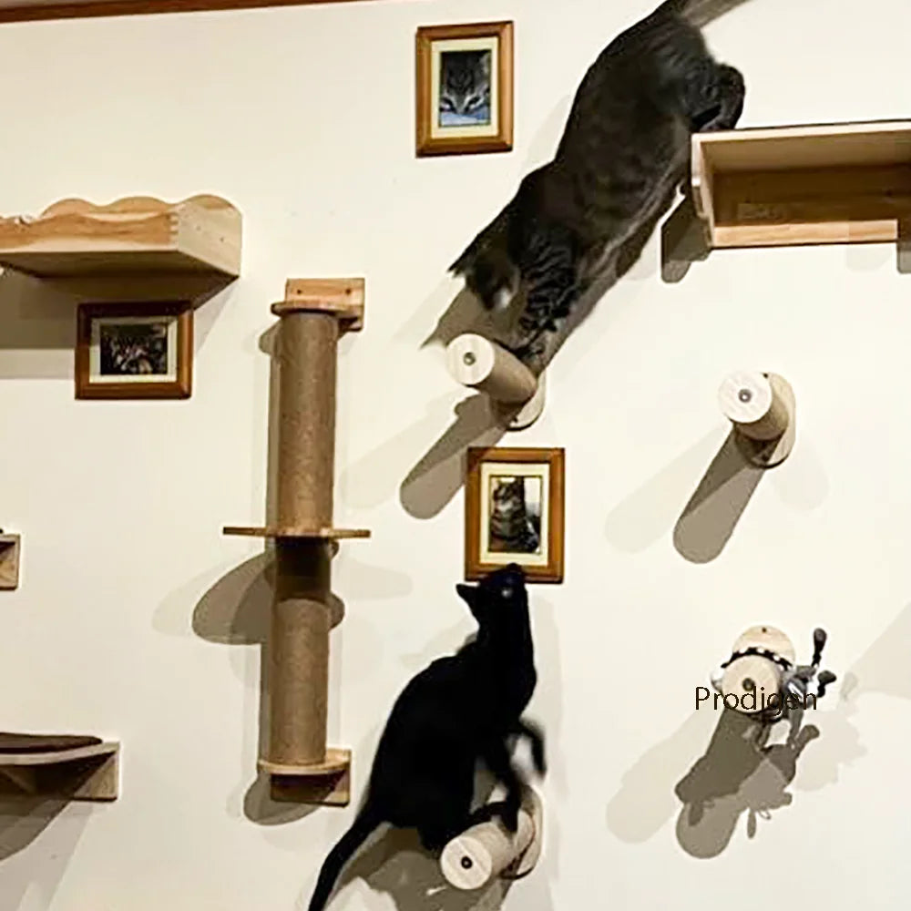 Wall Mounted Cat Climbing Shelves Cat Hammock