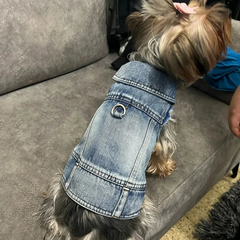 Summer Dog Denim Vest For Small Medium Dogs Puppy Shirt