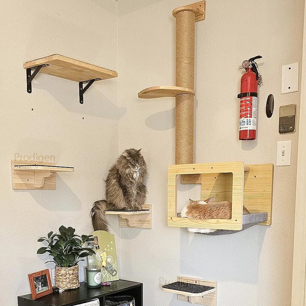 Wall Mounted Cat Climbing Shelves Cat Hammock