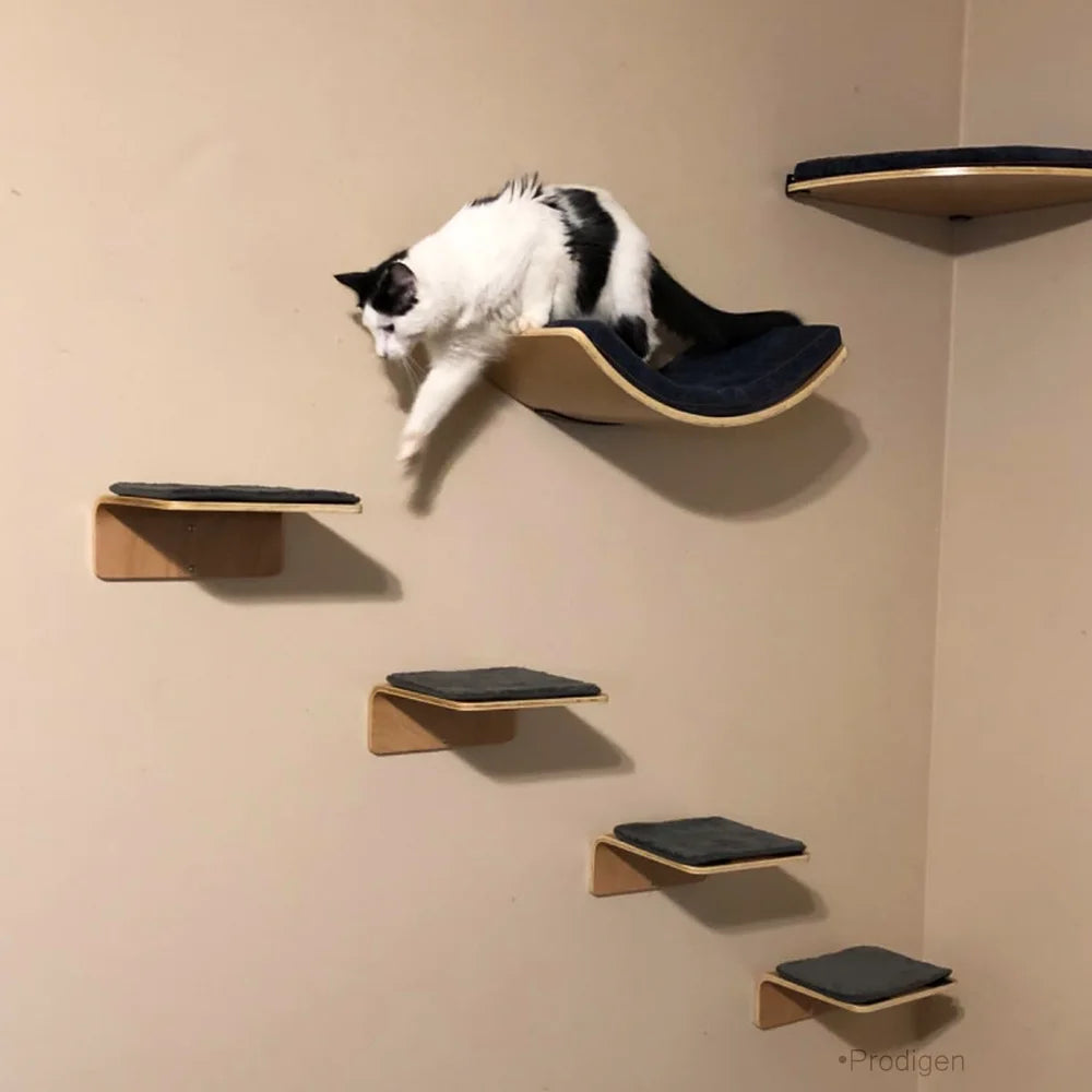 Wall Mounted Cat Climbing Shelves Cat Hammock