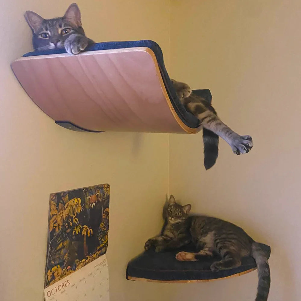 Wall Mounted Cat Climbing Shelves Cat Hammock