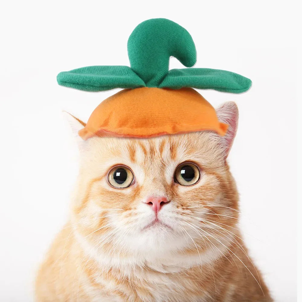 Funny Hat for Cat / Dogs  Costume Pet Headwear Cosplay Keep Warm Theme Party Photo Prop Accessories