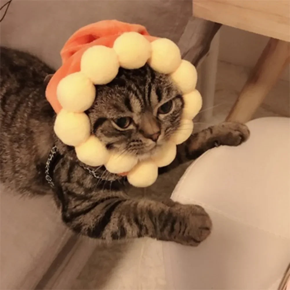 Funny Hat for Cat / Dogs  Costume Pet Headwear Cosplay Keep Warm Theme Party Photo Prop Accessories