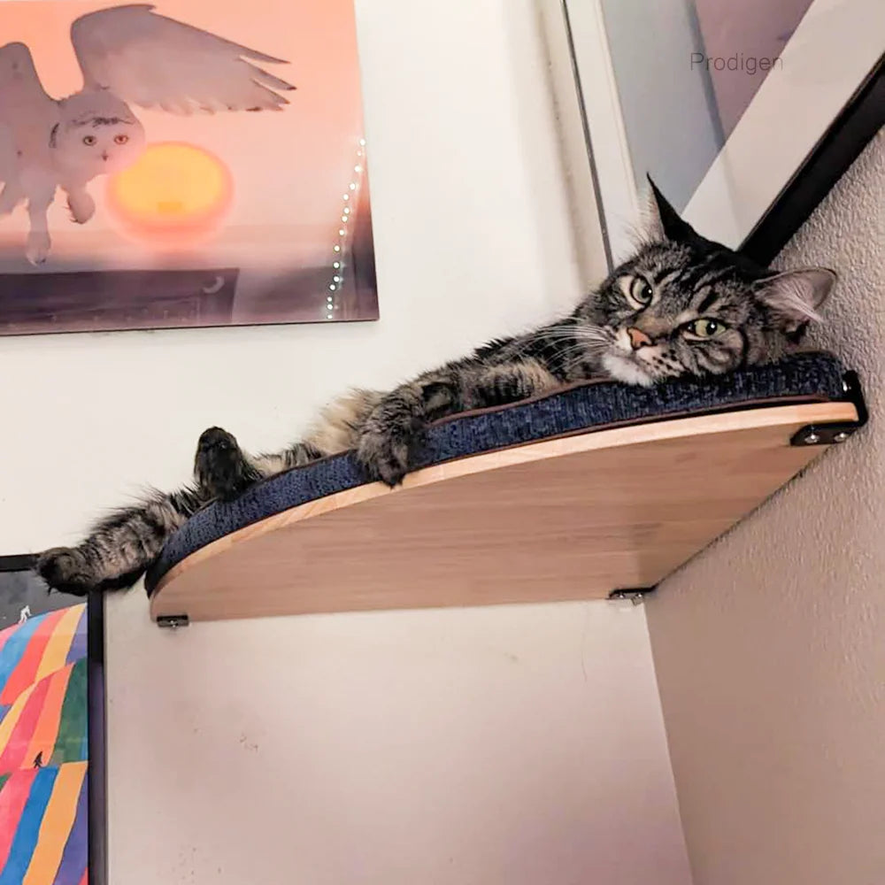 Wall Mounted Cat Climbing Shelves Cat Hammock