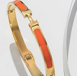 EJ Round Titanium Steel 18k Gold Plated Bangles